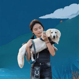 李宜嘉